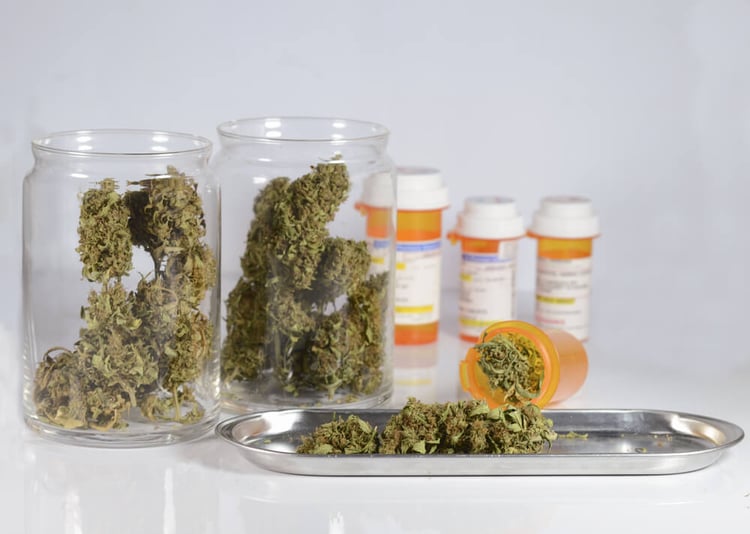 marijuana legislation marijuana should be legalized essay marijuana legislation marijuana should be legalized essay