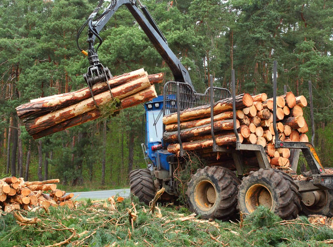 CAN YOU QUALIFY FOR LOGGING EQUIPMENT FINANCING